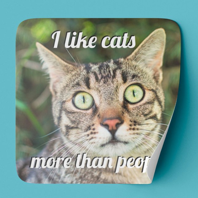 Like cats more than people green-eyed cat close-up square sticker (Creator Uploaded)