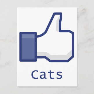 Like Cats Postcard