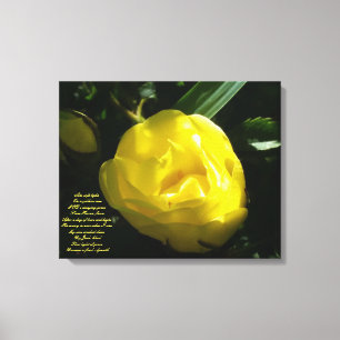Like Soft Light on a Yellow Rose Canvas Print