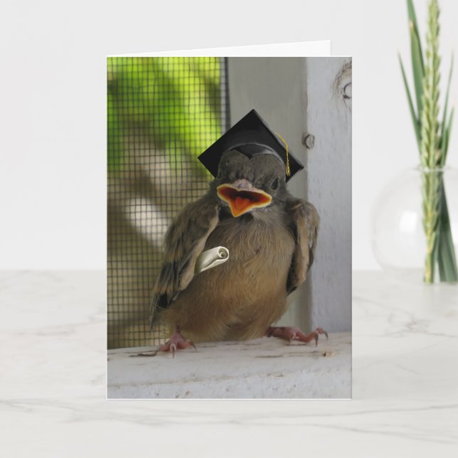 Lil Birdie, Happy smiling Bird, Graduation Holiday Card (Front)