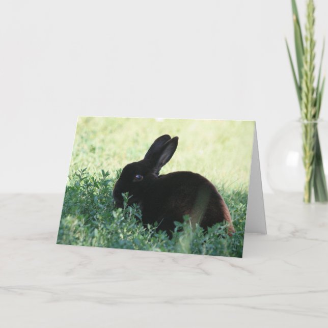 Lil Black Bunny Card (Front)
