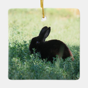 Lil Black Bunny Ceramic Ornament