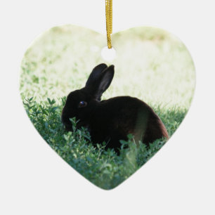 Lil Black Bunny Ceramic Tree Decoration
