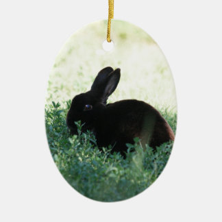 Lil Black Bunny Ceramic Tree Decoration