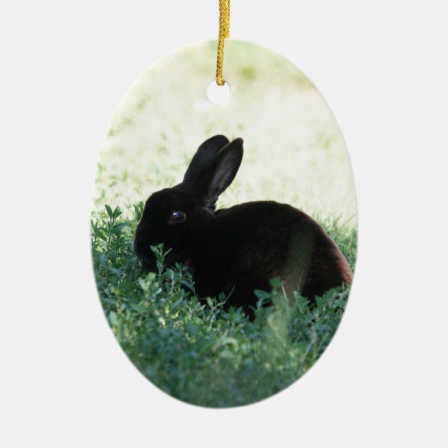 Lil Black Bunny Ceramic Tree Decoration (Front)