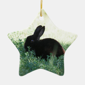 Lil Black Bunny Ceramic Tree Decoration