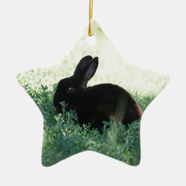 Lil Black Bunny Ceramic Tree Decoration (Front)