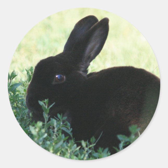 Lil Black Bunny Classic Round Sticker (Front)