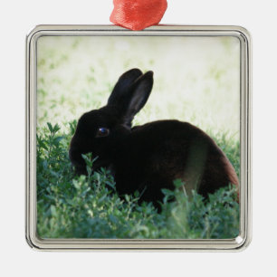 Lil Black Bunny Metal Tree Decoration