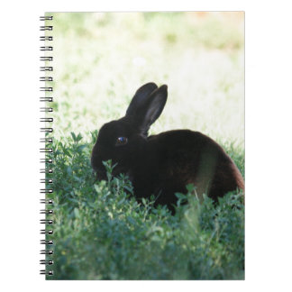 Lil Black Bunny Notebook