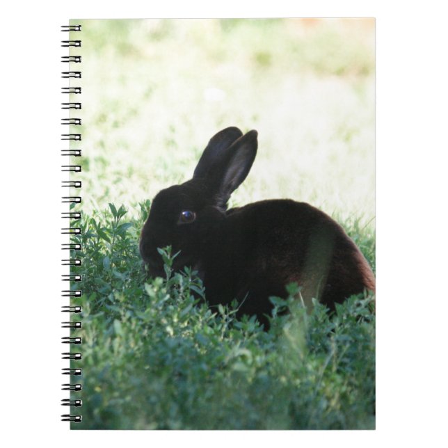 Lil Black Bunny Notebook (Front)