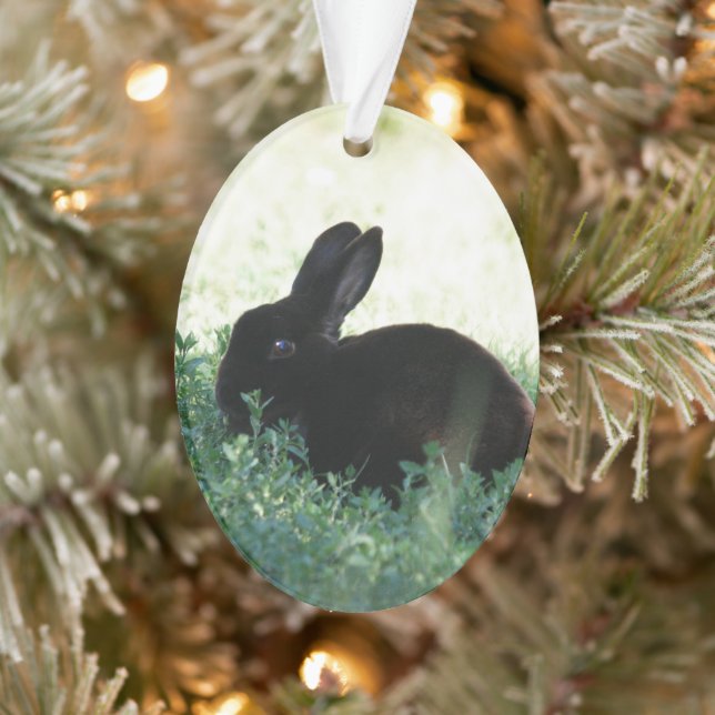 Lil Black Bunny Ornament (Tree)