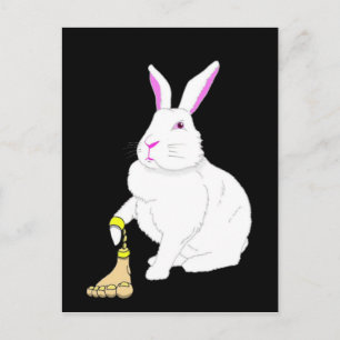 Lil Britches Postcard