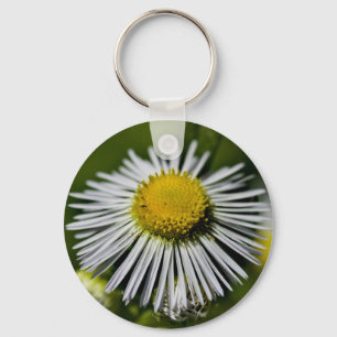 Li'l Daisy Keychain