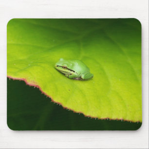 Lil' Frog Mousepad