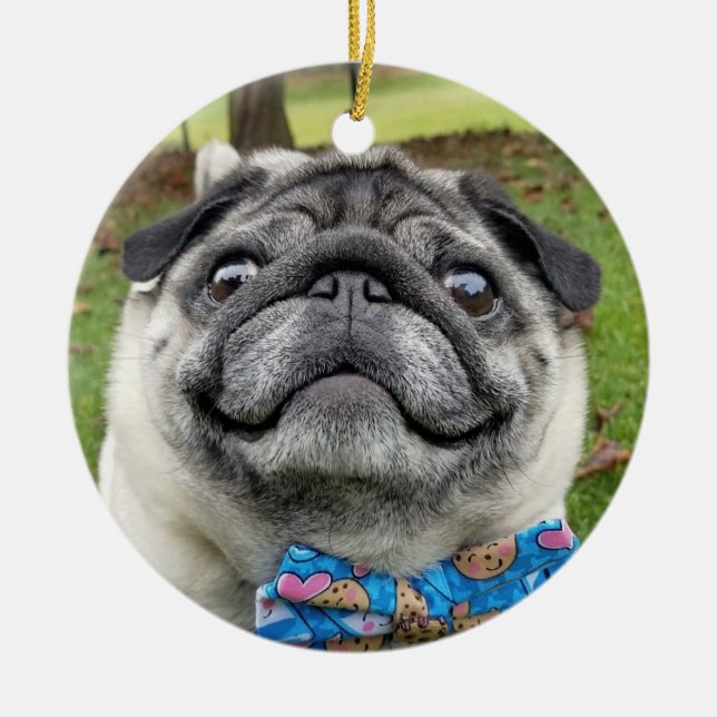 Lil Pickles Da Pug Ornament (Front)