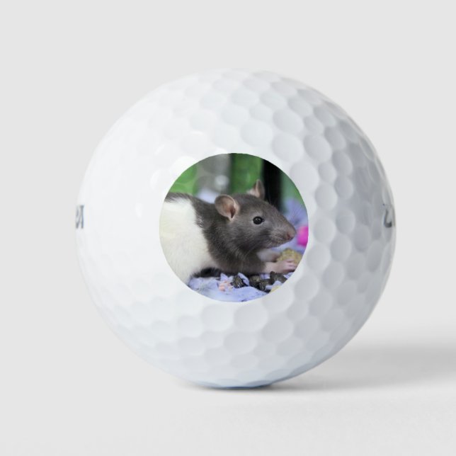 Lil rat golf balls (Front)