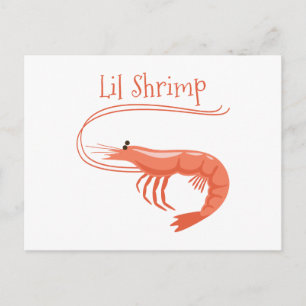 Lil Shrimp Postcard