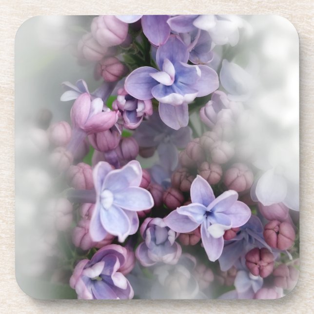 Lilac blooming coaster (Front)
