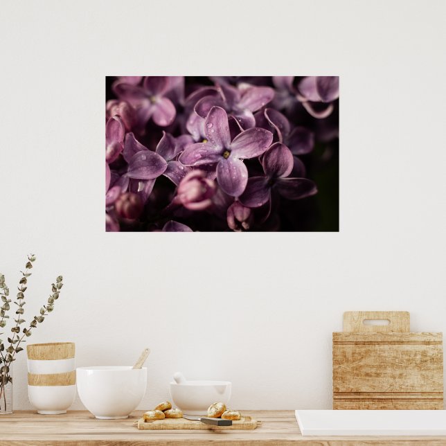 Lilac Blossom after the rain Poster (Kitchen)