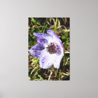 Lilac Blue Anemone Coronaria Wild Flower Painting Canvas Print