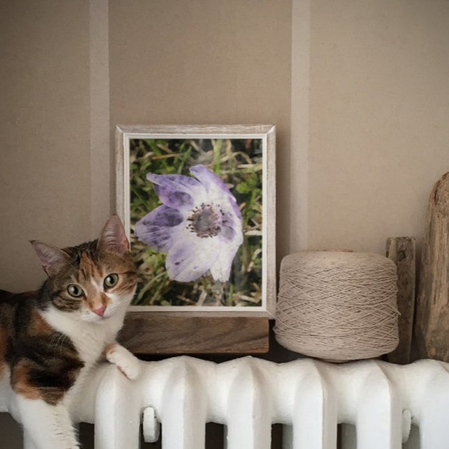 Lilac Blue Anemone Coronaria Wild Flower Painting Poster (Creator Uploaded)