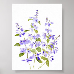 lilac-blue purple violet Nepeta racemosa Walker's Poster
