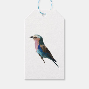 Lilac breasted Roller bird. Design element. Gift Tags