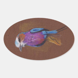 Lilac breasted roller bird illustration animal nat oval sticker