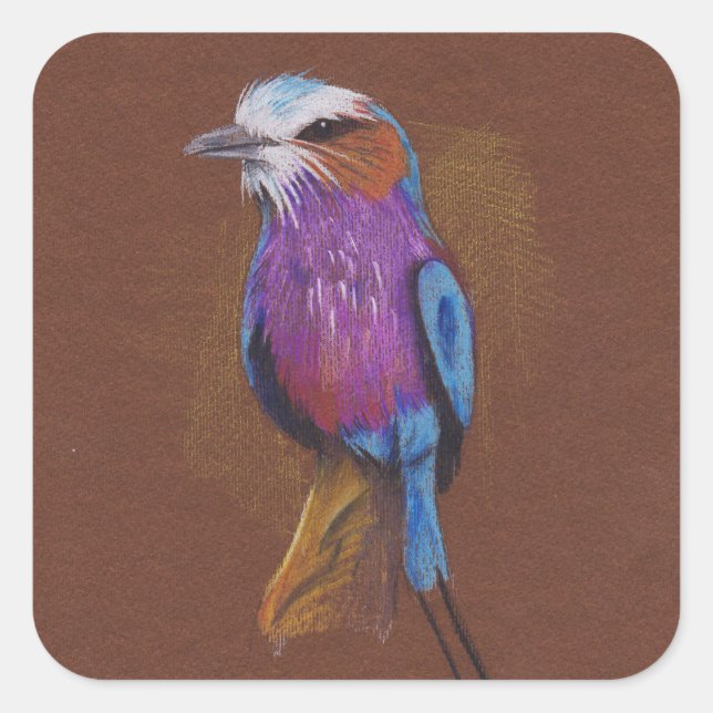 Lilac breasted roller bird illustration animal nat square sticker (Front)