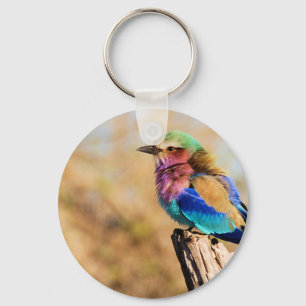 Lilac-Breasted Roller Colourful African Bird Key Ring