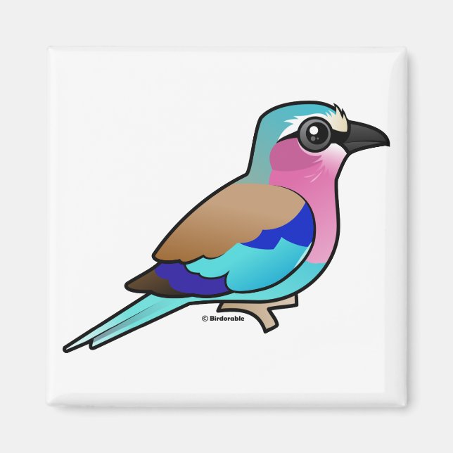 Lilac-breasted Roller Magnet (Front)