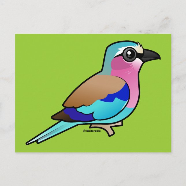 Lilac-breasted Roller Postcard (Front)