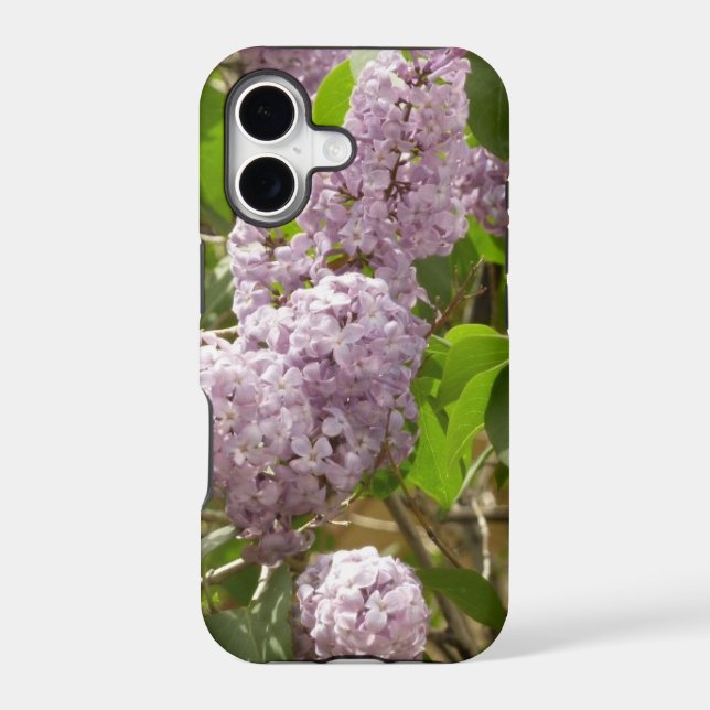 Lilac Bush Beautiful Purple Spring Flowers (Back)