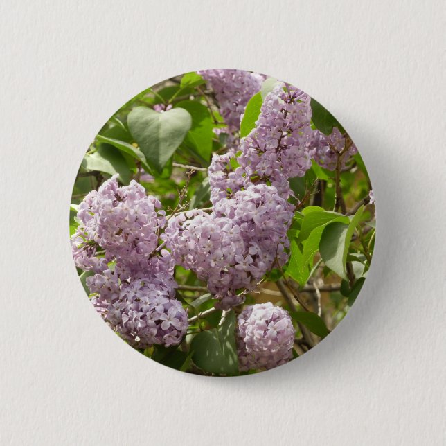 Lilac Bush Beautiful Purple Spring Flowers 6 Cm Round Badge (Front)