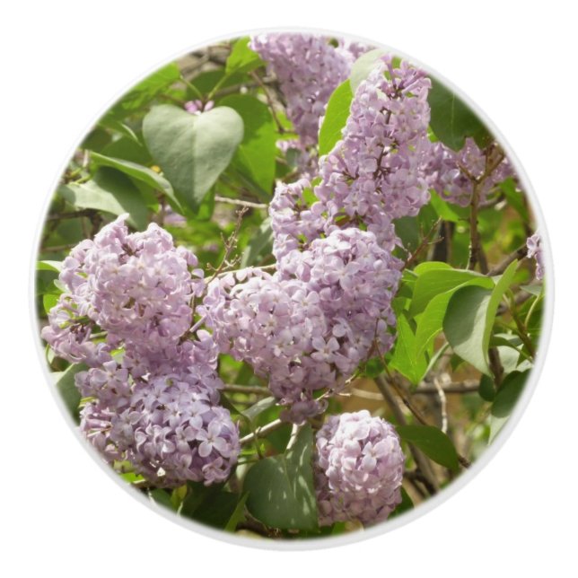 Lilac Bush Beautiful Purple Spring Flowers Ceramic Knob (Front)
