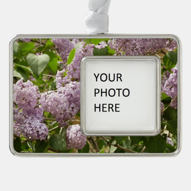 Lilac Bush Beautiful Purple Spring Flowers Silver Plated Framed Ornament (Front)