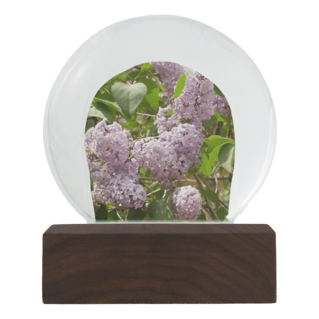 Lilac Bush Beautiful Purple Spring Flowers Snow Globe (Front)