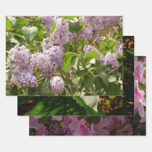 Lilac Bush Beautiful Purple Spring Flowers Wrapping Paper Sheet