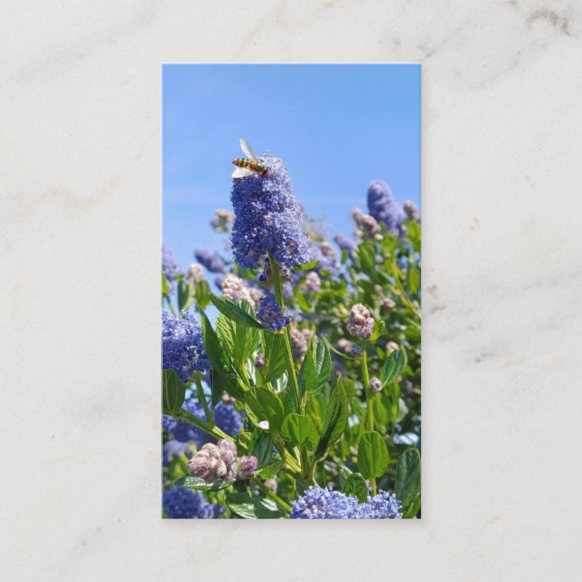 Lilac business cards (Front)