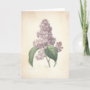 Lilac by Botanical Redoute Sympathy Card
