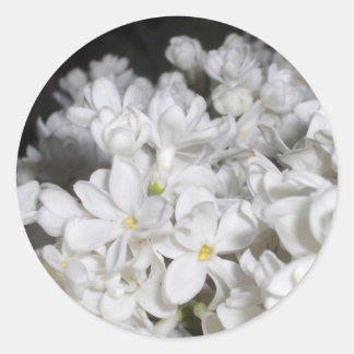 Lilac Classic Round Sticker