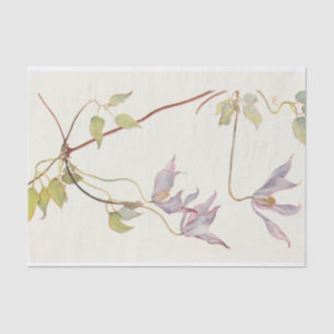 Lilac Clematis by Margaret Armstrong Tissue Paper