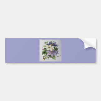 Lilac Clematis Vine Acrylic Painting Bumper Sticker