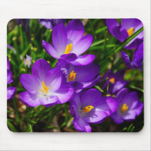 Lilac Crocuses Mouse Mat