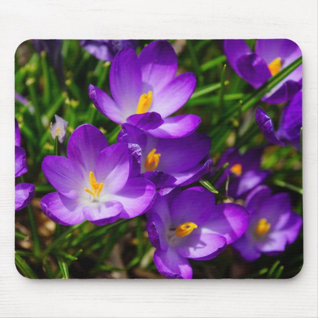 Lilac Crocuses Mouse Mat (Front)