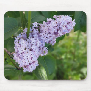 lilac curtain mouse mat