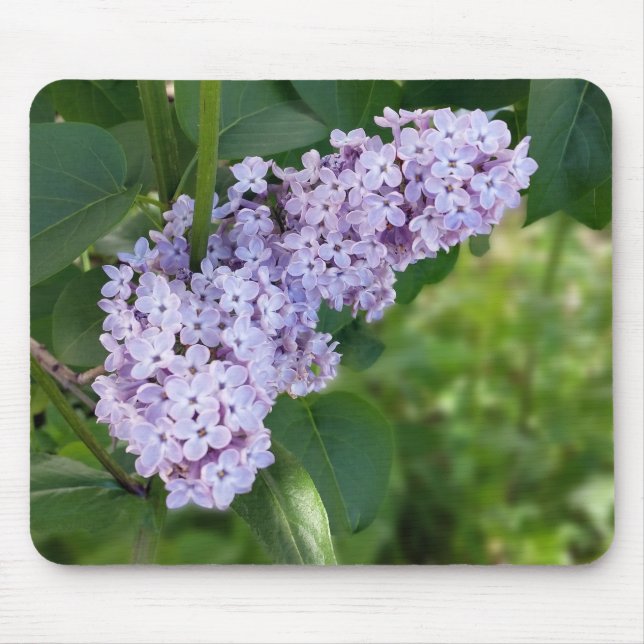 lilac curtain mouse mat (Front)