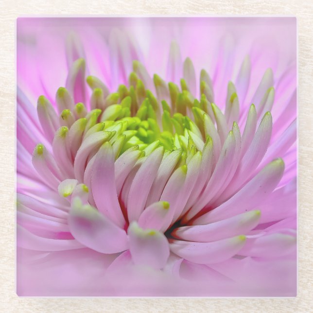 Lilac Dahlia - Glass Coaster (Front)