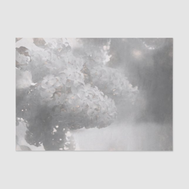 Lilac Flower Black And White Art Country Design Tissue Paper (Front)